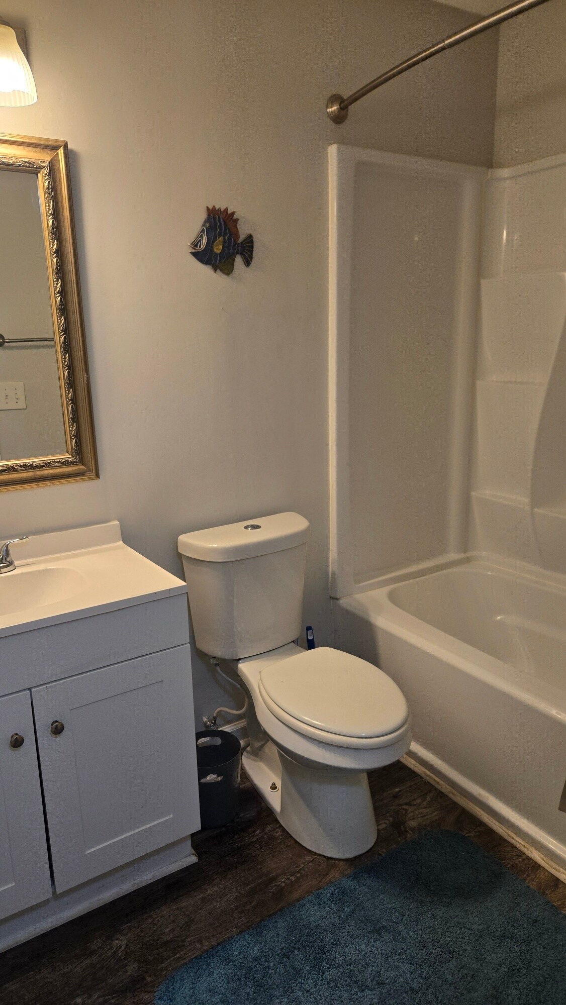 Hall bathroom - 1356 Glenns Bay Rd