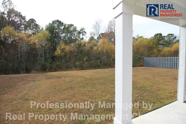 Building Photo - Beautiful 3 BD/2 BA Home in Porters Walk