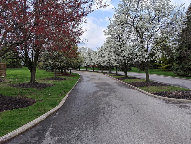 Building Photo - 1720 Messner Dr