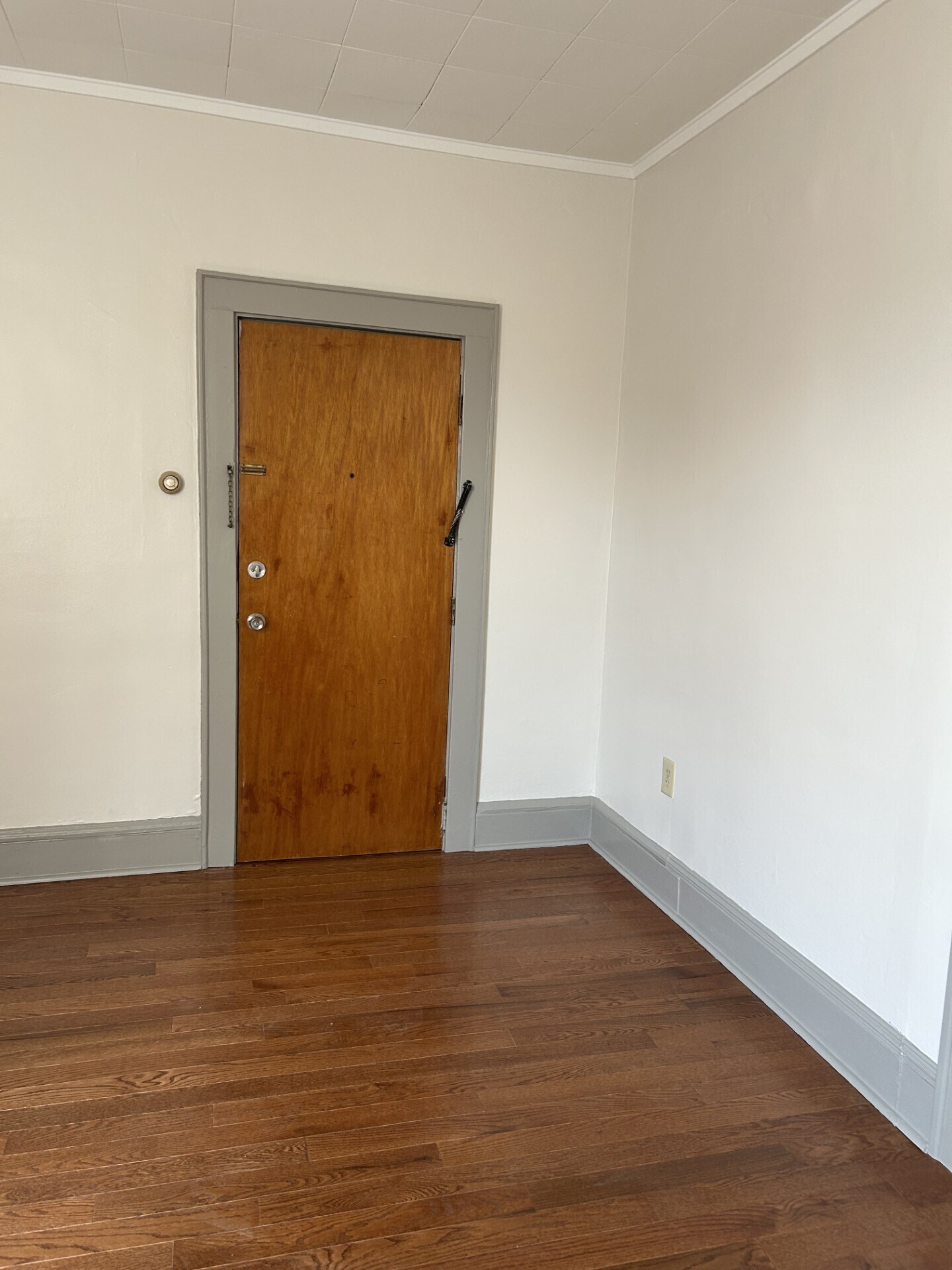 Living Room - 141 Franklin Ave