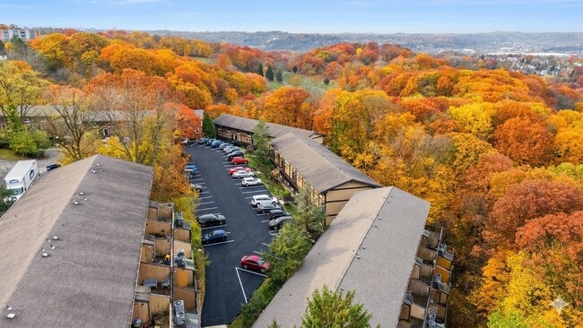 Building Photo - Village in the Park Apartments - 3001 Marshall Rd