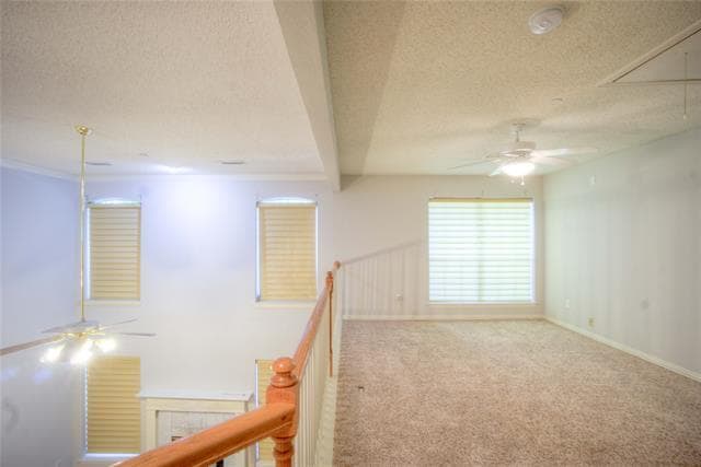 Building Photo - 14584 Whitman Ct