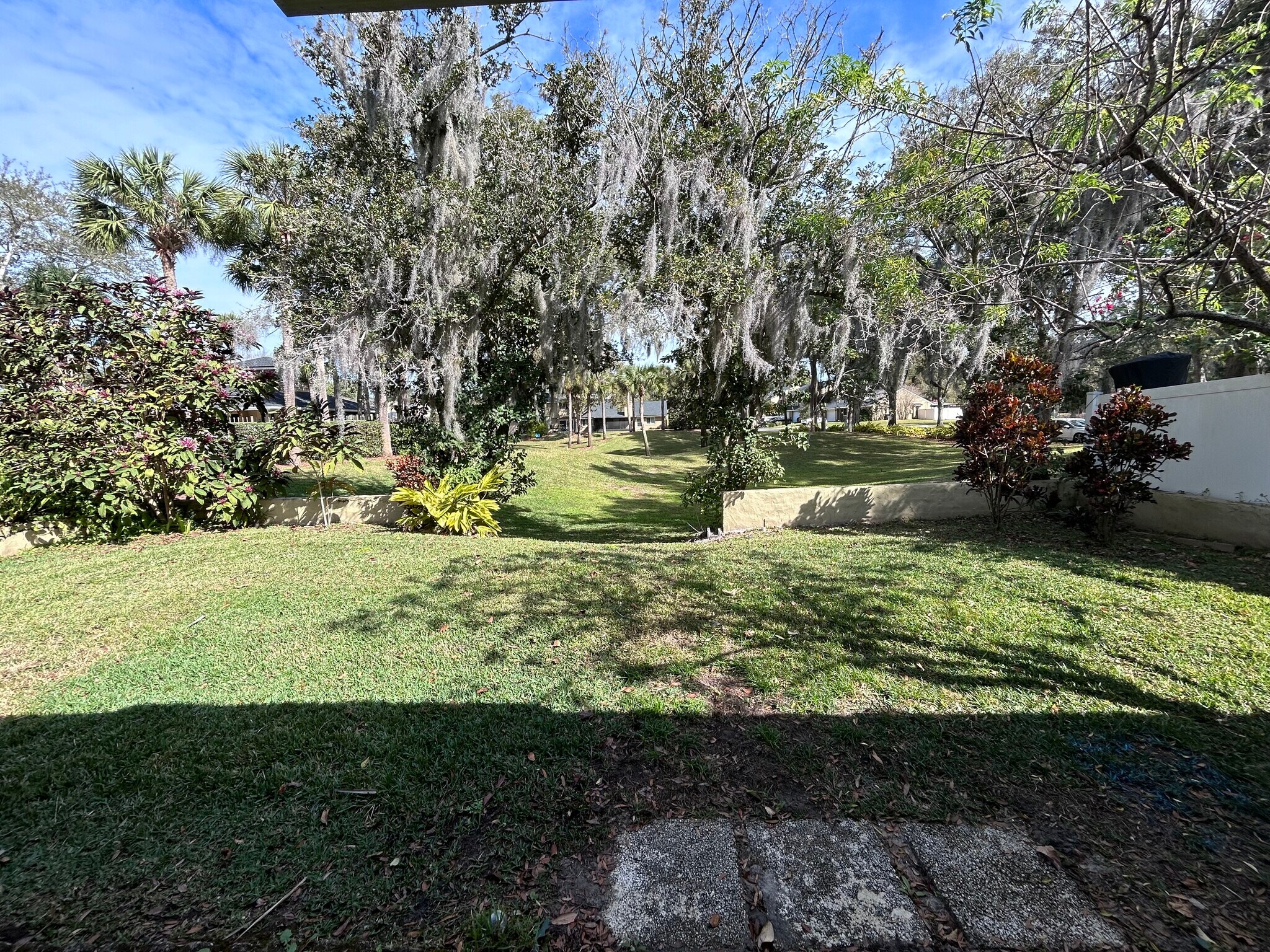 View from back porch - 8559 Pomelo Tree Ln