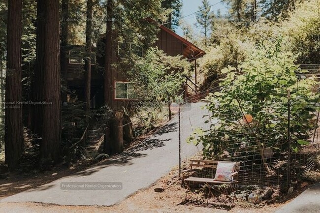 Primary Photo - Sunlit Sanctuary in the Redwoods