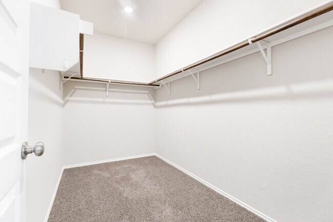 Building Photo - A rare true dual-suite floorplan in Alamo Ranch — two private en-suite bedrooms, single-story liv...