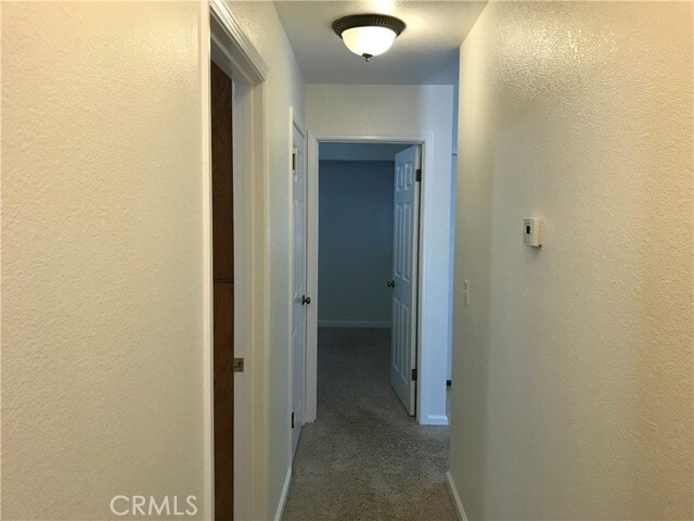 Building Photo - 4032 Graystone Ct