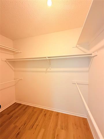 Building Photo - 3613 Longbow Ln
