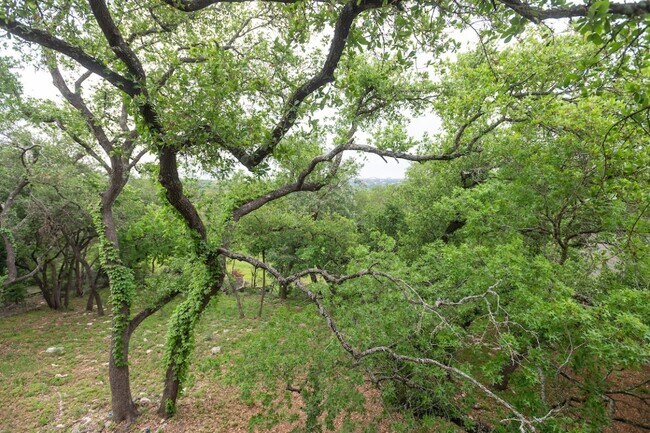 Building Photo - 11513 Juniper Ridge Dr