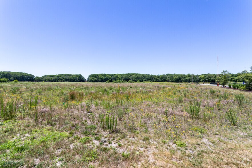 Site 7/11/22 - Ascend by the Sea