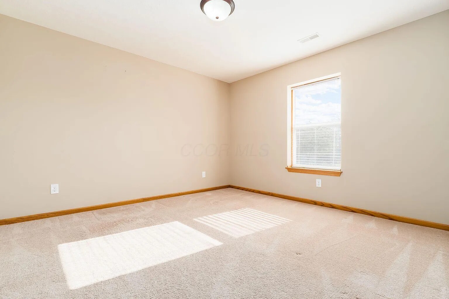 Bedroom 2 - view from door - 392 Race St