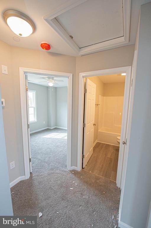 Building Photo - 241 Morgans Ct