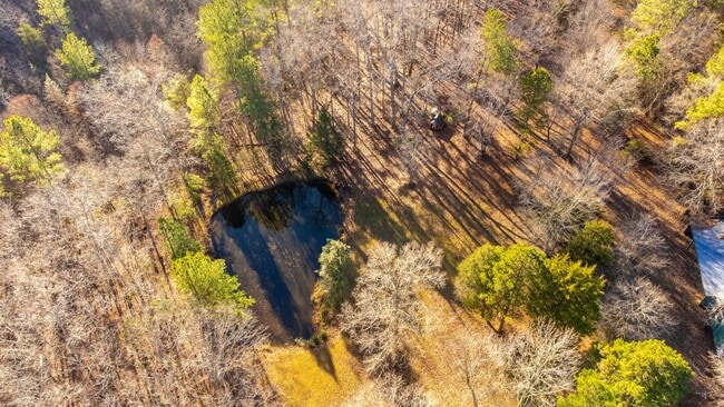 Building Photo - Beautiful 4 Bed 3.5 Bath Home on 20 Acres