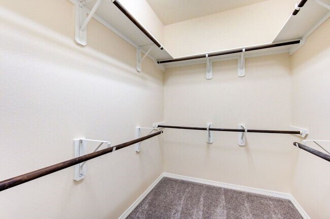 Building Photo - 10014 Spring Shadows Park Cir