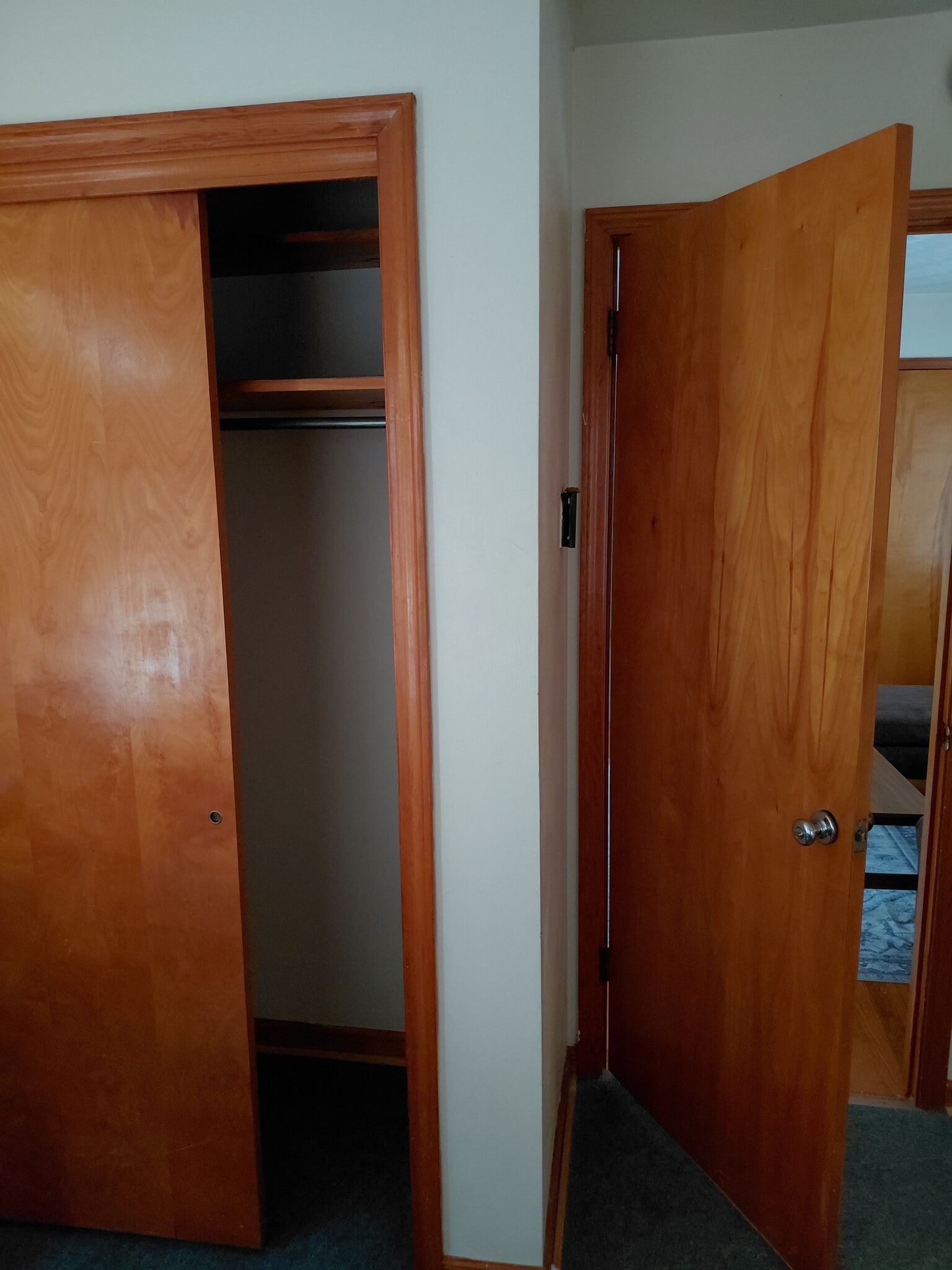 Bedroom closet - 901 Old Homestead Ln