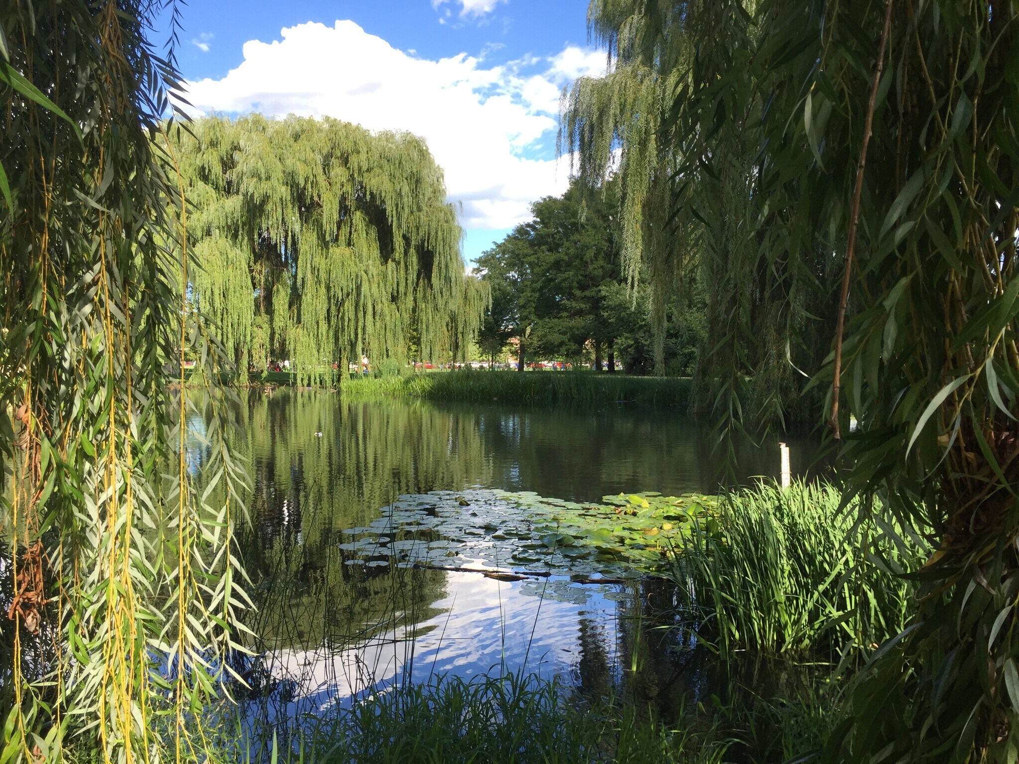 Building Photo - 2318 S Marshall Blvd