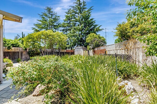 Building Photo - Saratoga Gem - 4BR Home Open Floor Plan & ...