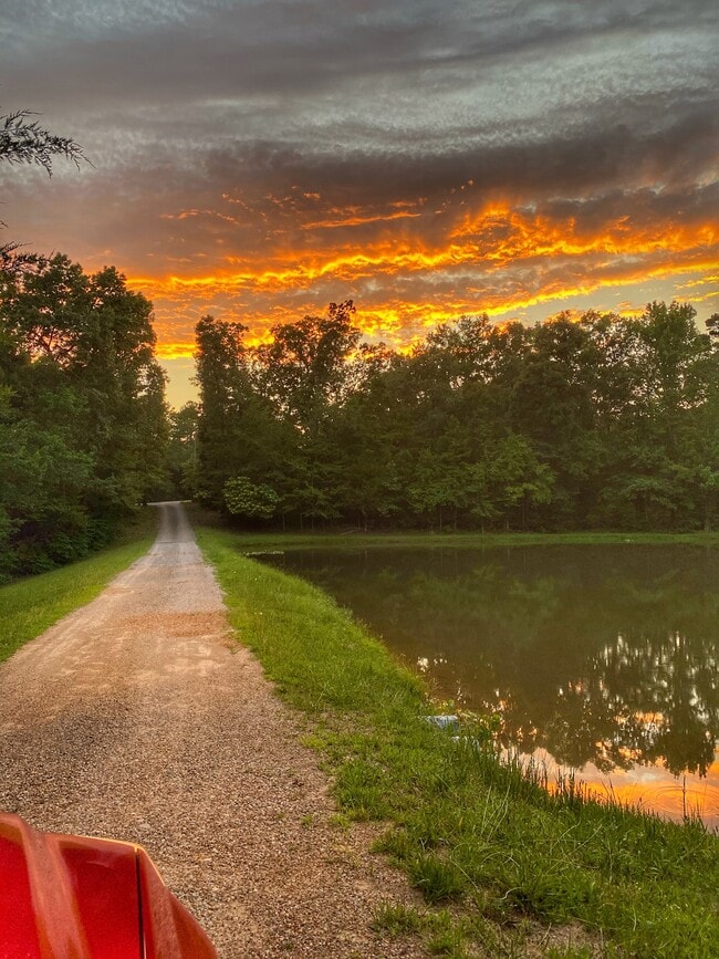 Building Photo - Vibrant Way # 3