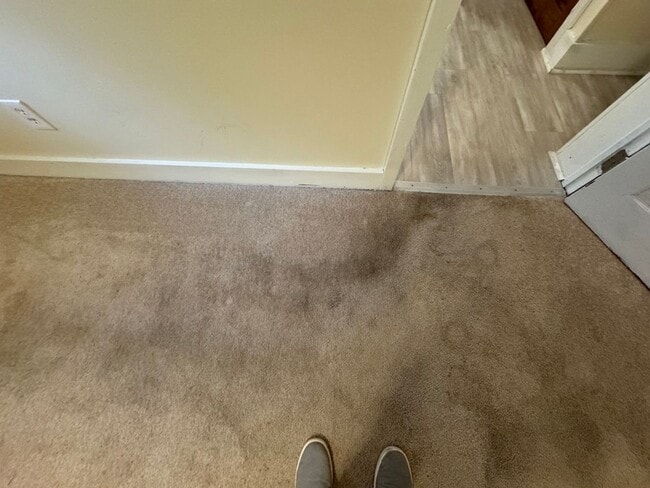 Building Photo - One-Bedroom, One-bath Basement Apartment in Sought-After Community of Aquia Harbour