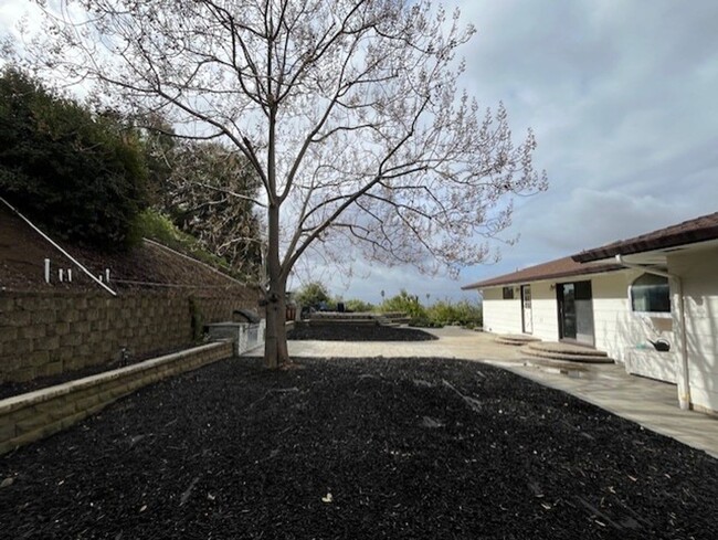 Building Photo - 3 bedroom, 3 bath hilltop oasis overlookin...