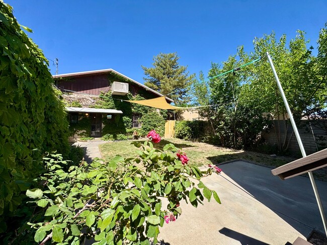 Building Photo - North Campus Gem!