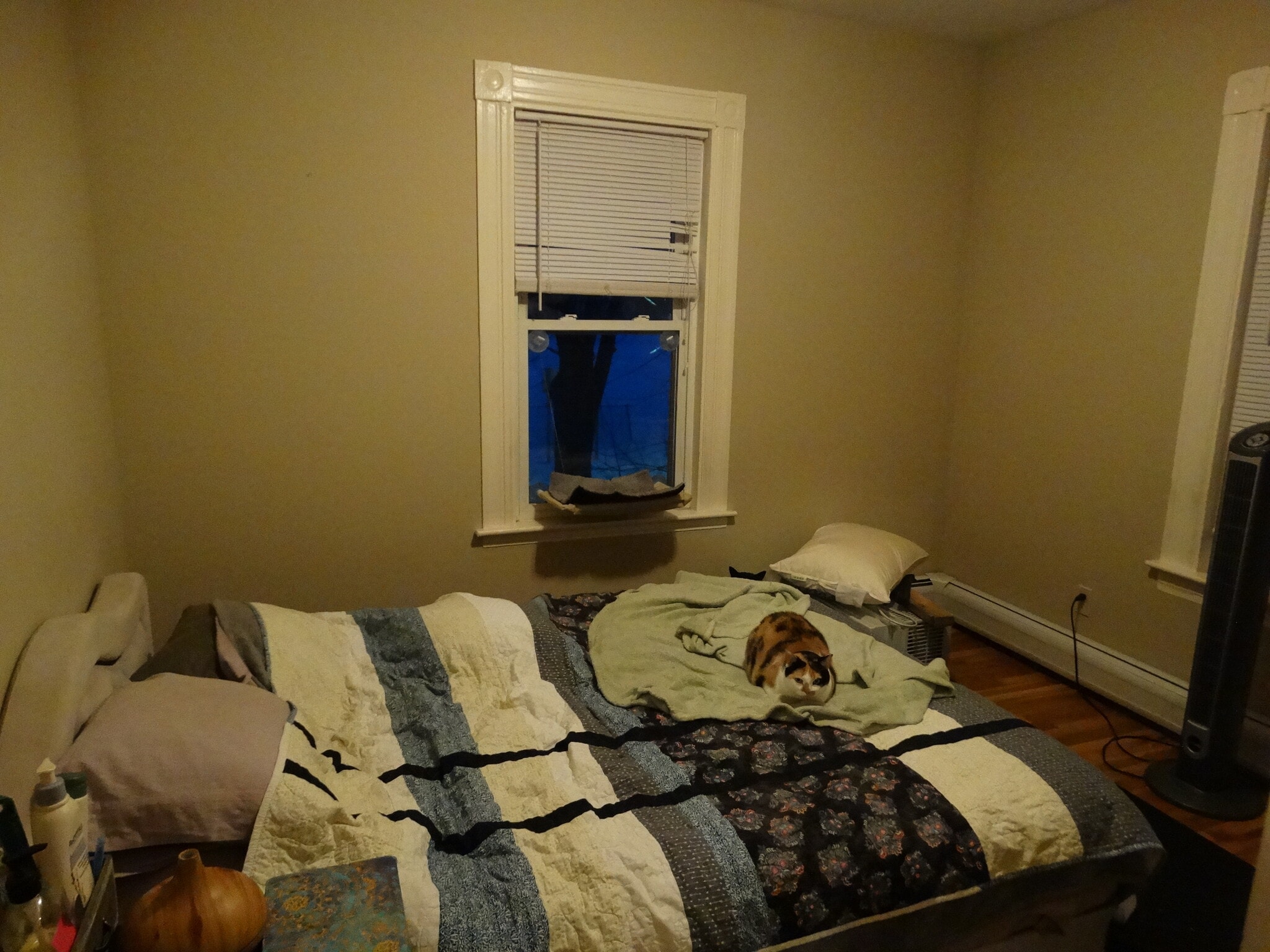 Building Photo - 206 Jewett St