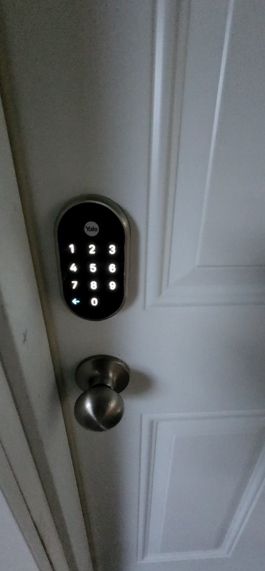 Building Photo - 17 Frank St