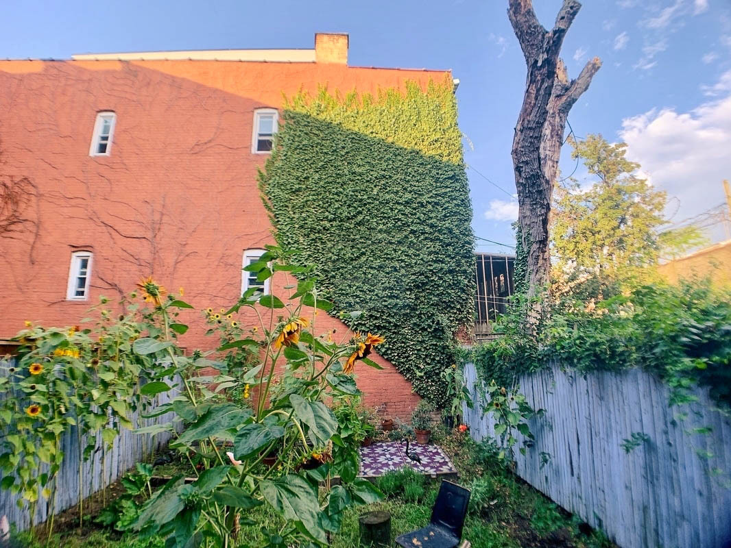 Private Backyard - 1561 Bushwick Ave