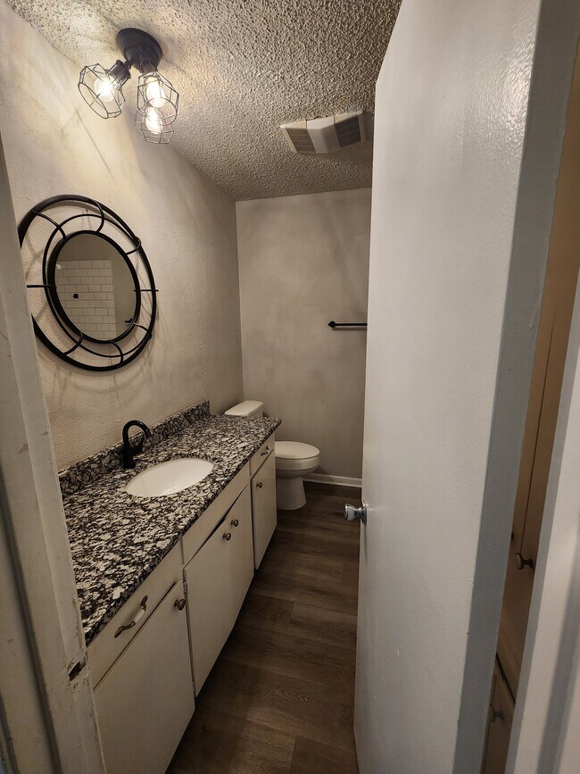 Hall bathroom - 213 W William Cannon Dr