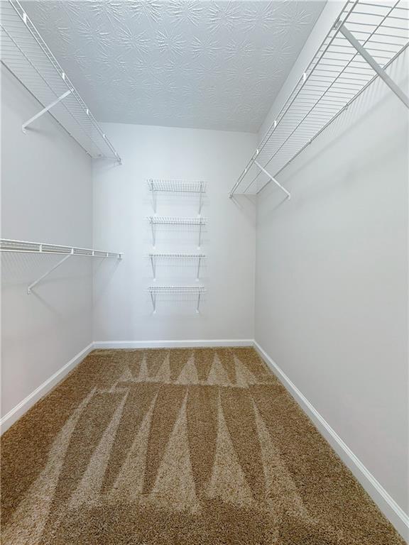 Building Photo - 2662 Cascade Bend Dr