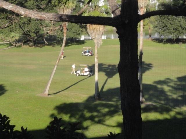 Building Photo - 3212 Strawflower Way