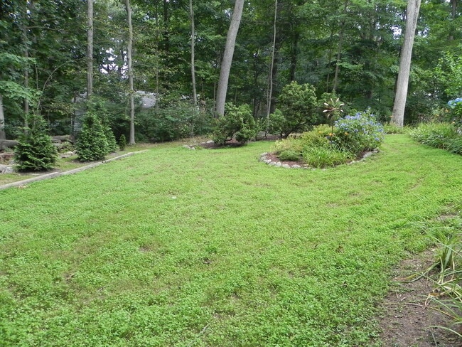 Building Photo - 24 Birchside Dr