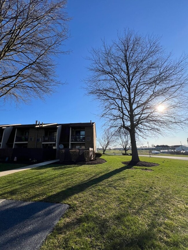 Building Photo - Luxury 1 BD, 1 BA Apartment in Mt Joy!