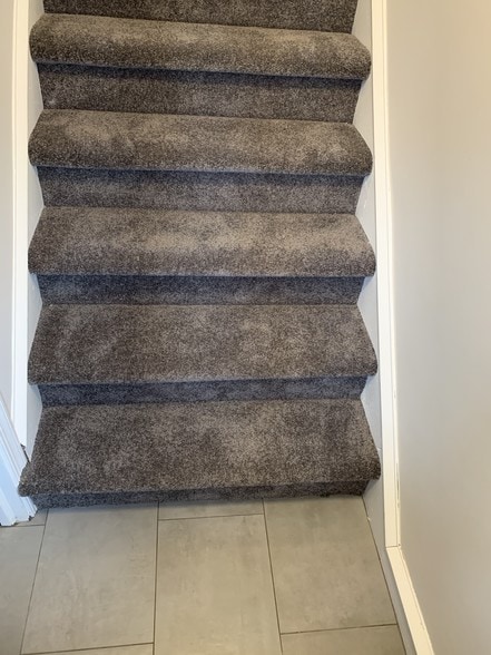 Entrance steps- new rugs(grey) - 1310 W Kings Hwy