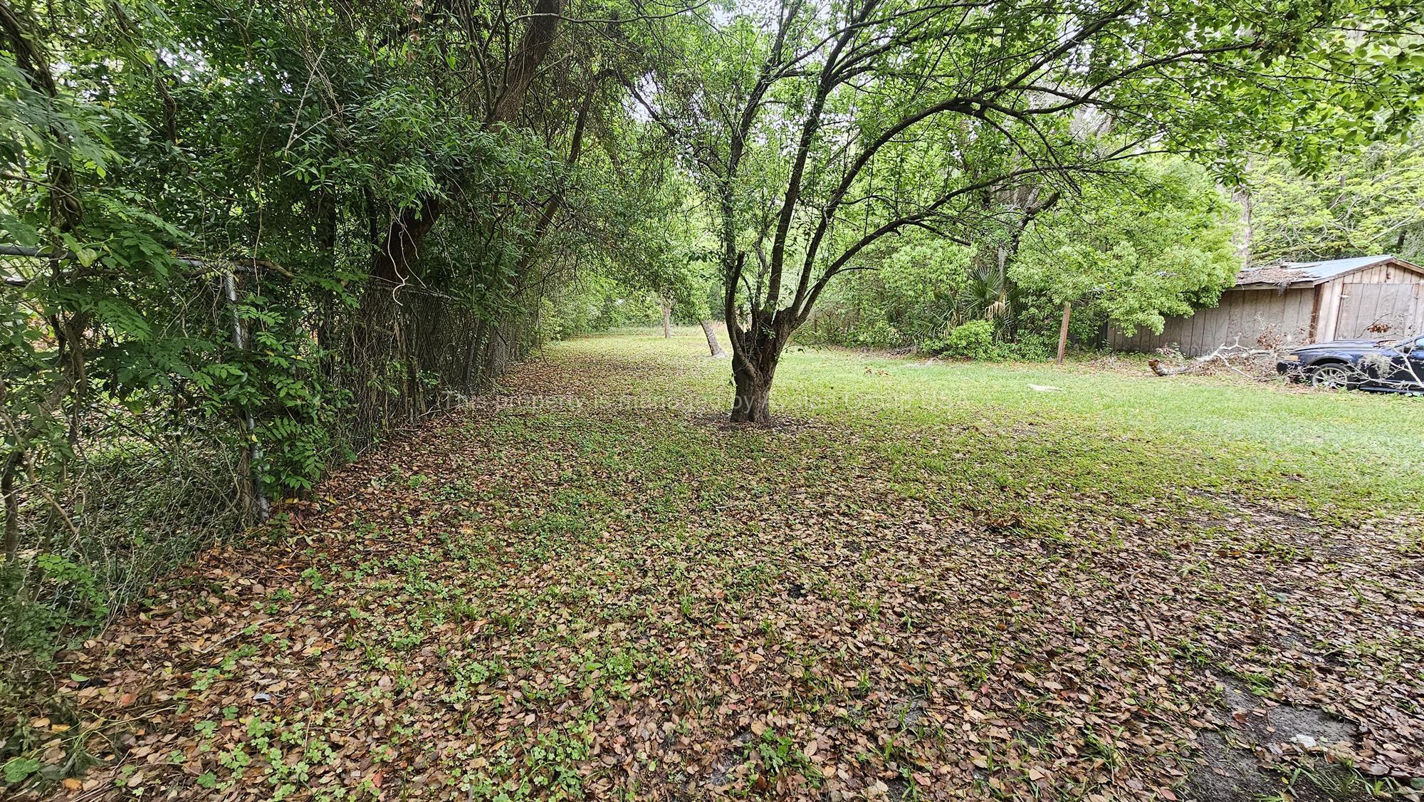 Building Photo - 2395 Commonwealth Ave