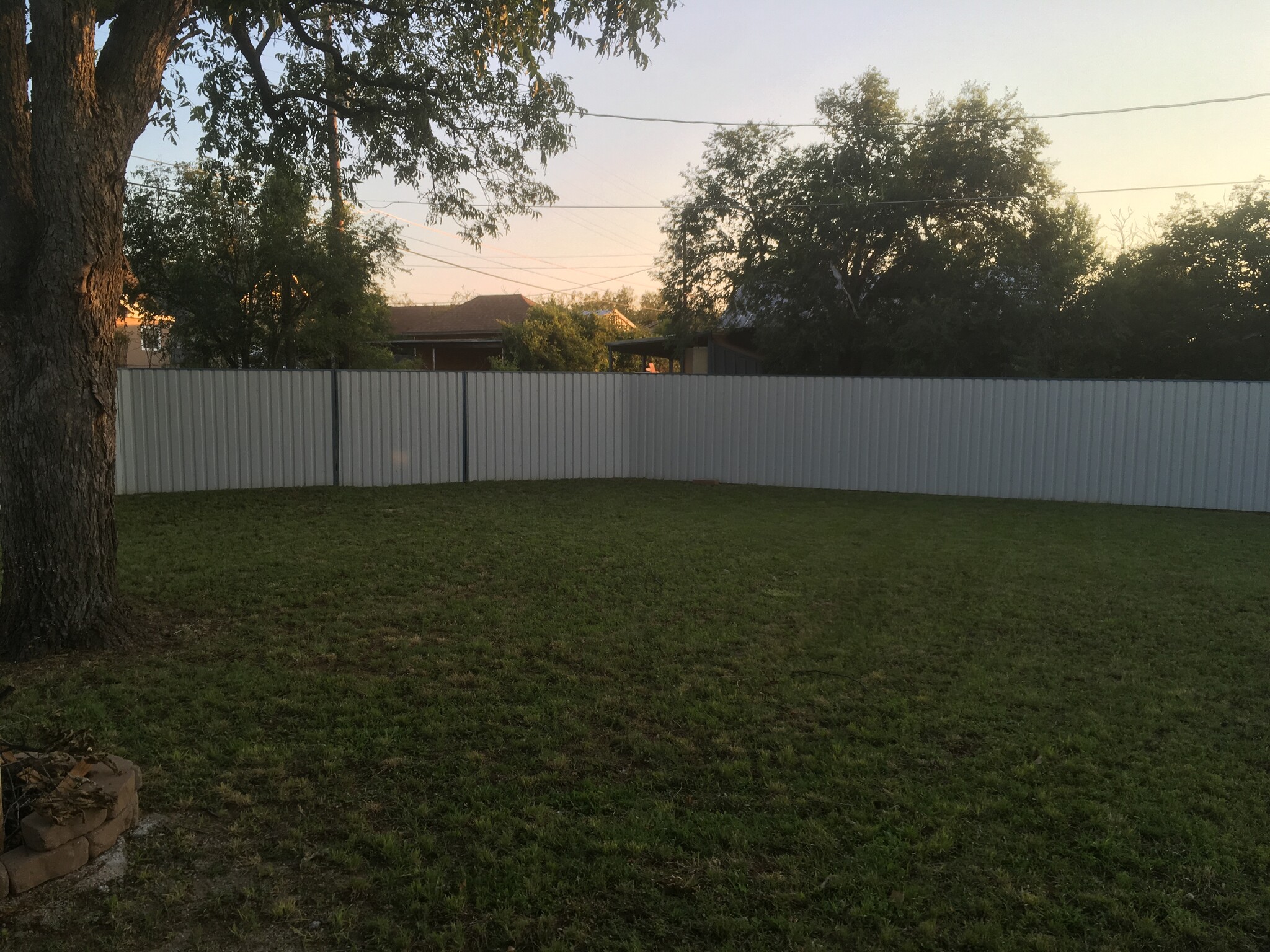 Back yard - 1007 Bawcom St