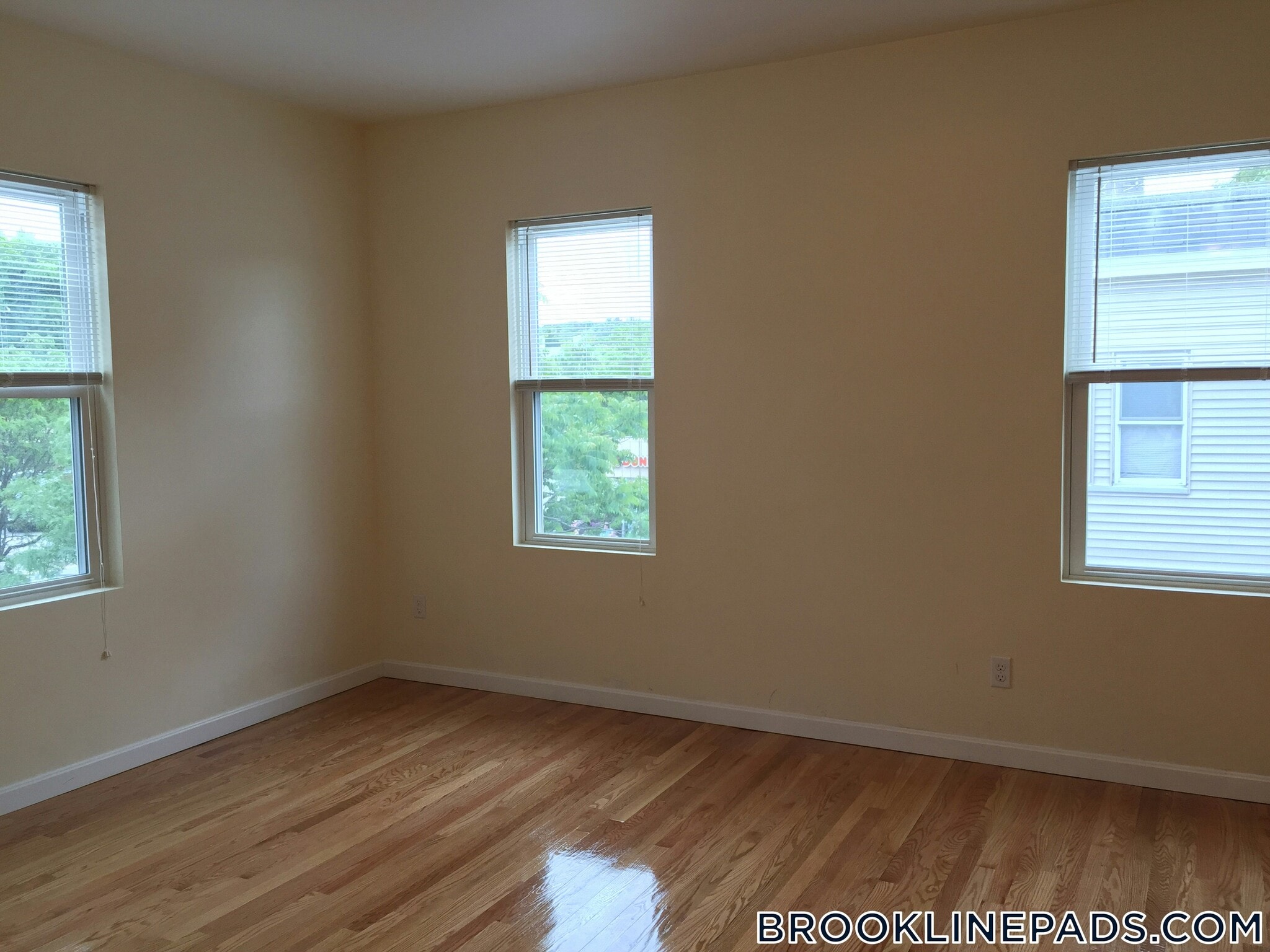 Building Photo - 5 Smythe St