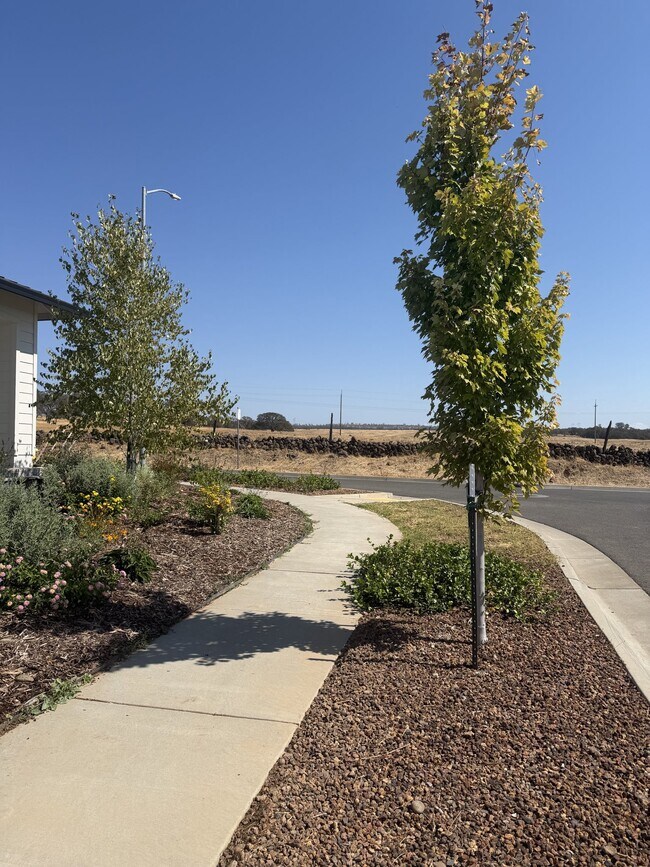 Building Photo - 2996 Wingfield Ave