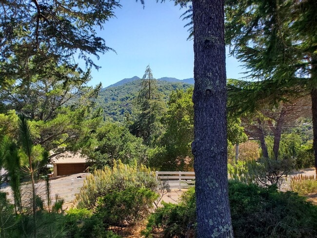 Building Photo - San Anselmo - Modern Day Cabin in the Wood...
