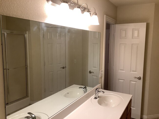 Master Bath mirror - 431 Firewood Dr