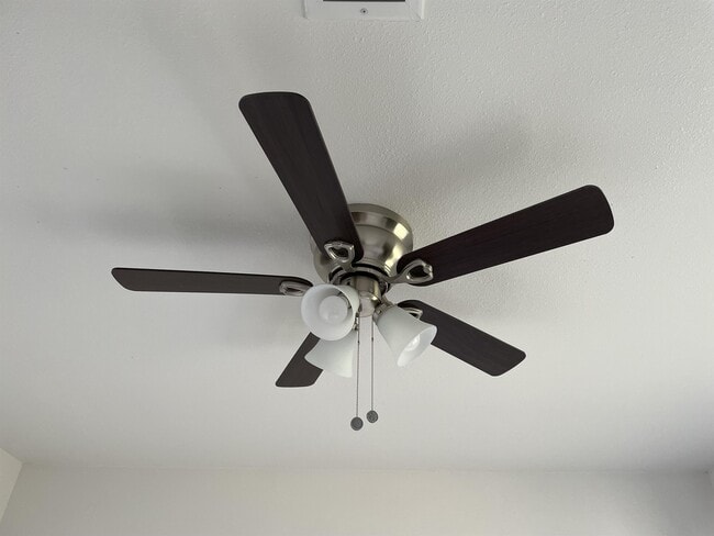 Building Photo - 4225 Harry St