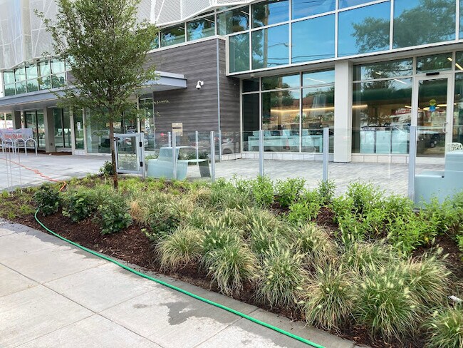 Library - 1 blk - 427 Jefferson St NE