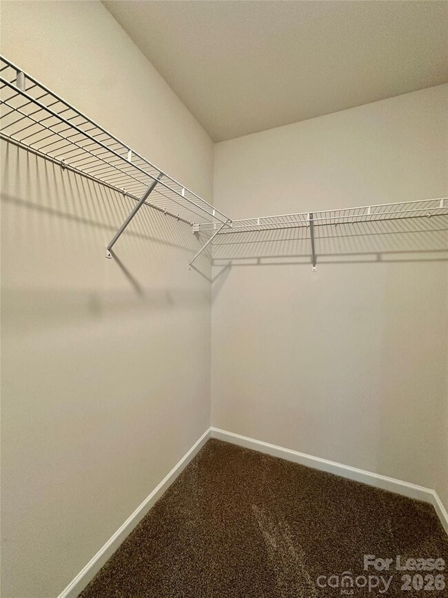 Building Photo - 1603 Blue Velvet Ln