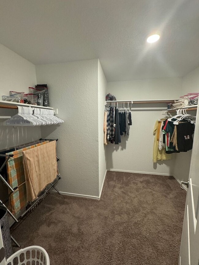 Building Photo - Ready For Move In- New One Story 3/2 - Mod...