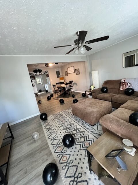Living room looking into dining room and kitchen - 103 Marchmont Dr