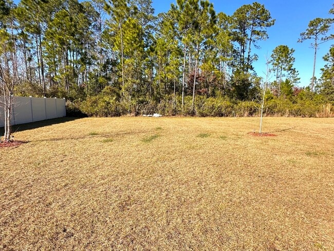 Building Photo - Resort Style Amenities! Lawn Care Included! Easy Access to Wildlight, Fernandina Bch, Jax