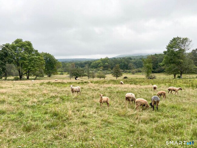 Building Photo - 85 Gellert Rd