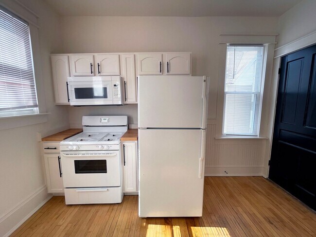 Building Photo - 2045-47 N Hubbard St