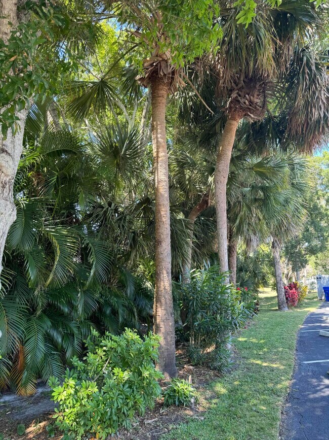 Building Photo - 600 Royal Palm Blvd