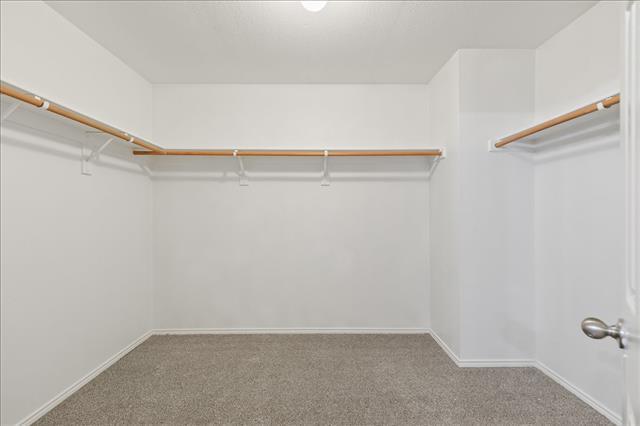 Building Photo - 8729 Noontide Dr