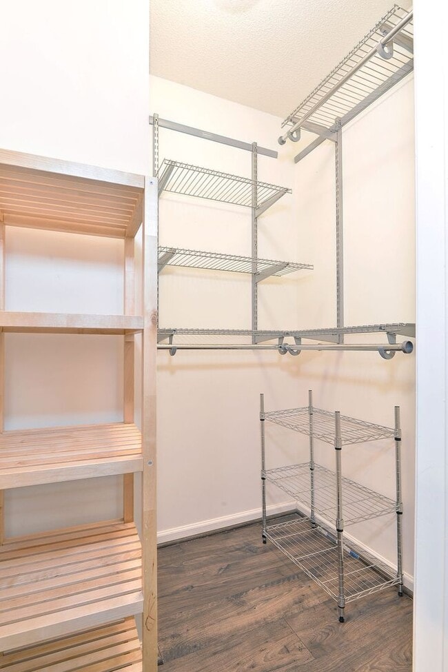 Building Photo - Spacious Home on Wooded Lot!